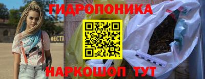 крисы Пыть-Ях