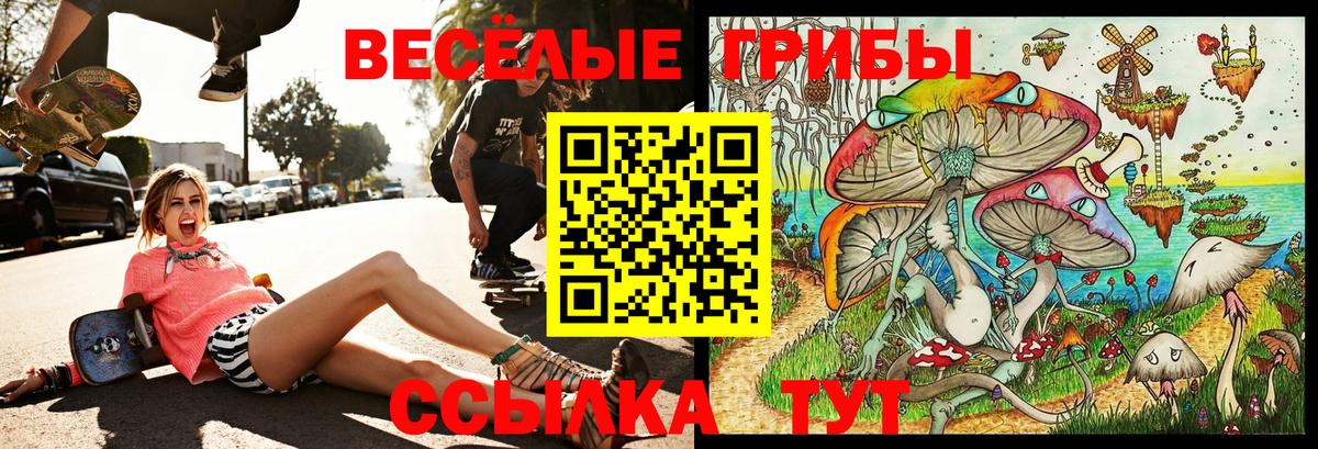 Галлюциногенные грибы Cubensis Новочеркасск